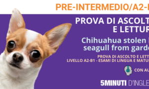 ascolto b1 b2